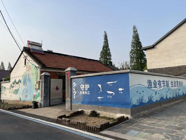 现场实拍界牌镇张家埭村，村景好美