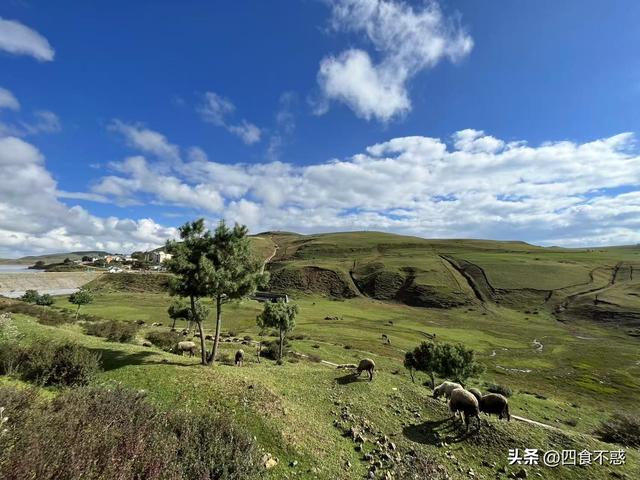 低调的昭通快藏不住了，其貌不扬的美食竟然这么好吃！