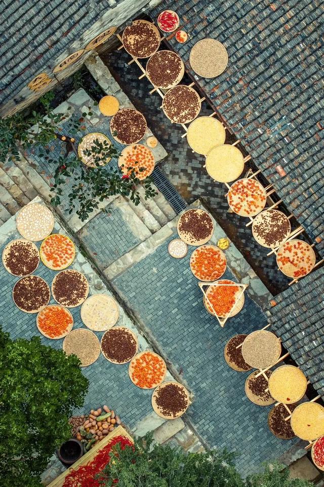 黄陂这些点位出片率绝了!