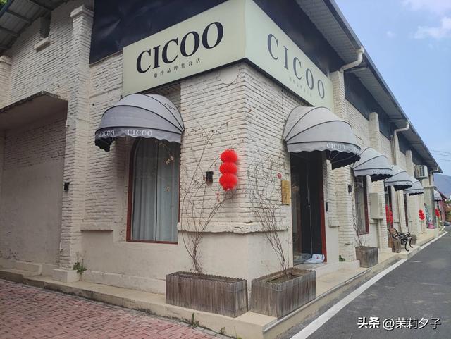 龙岩市区一日游精华线路