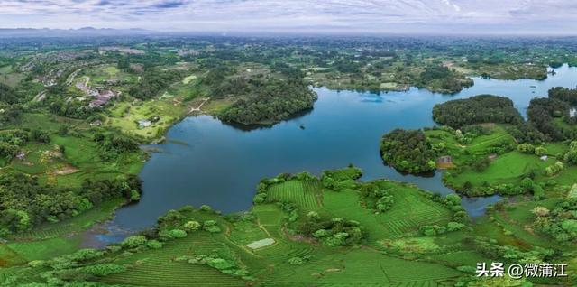 “骑”遇惊喜，快来成都蒲江“醉氧”绿道，开启你的追风之旅！
