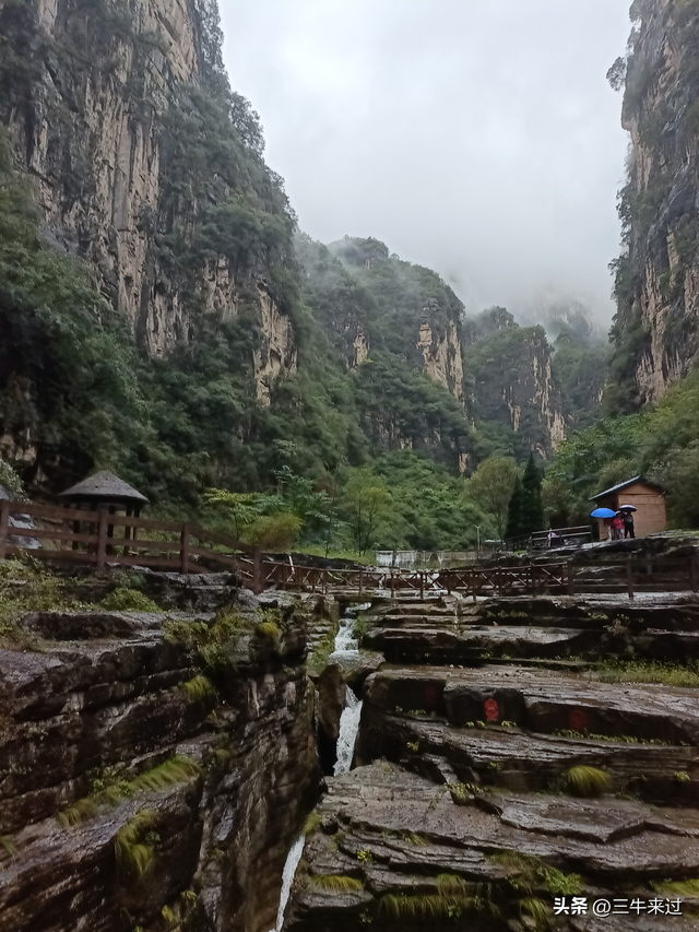 无为在歧路，2025之经行