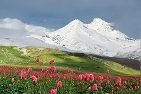 为什么规范汉语读音已到了刻不容缓的地步？图片