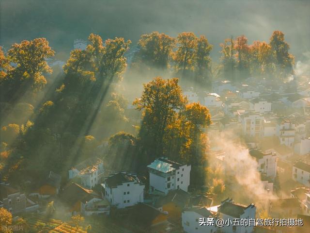 9 地秋日赏秋实测攻略！附最佳时间 + 落地玩法，收藏直接走