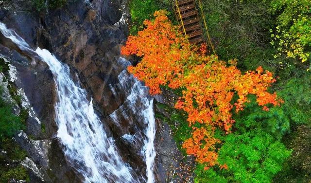雨过天晴，青峰峡藏着一整个秋天的惊艳！