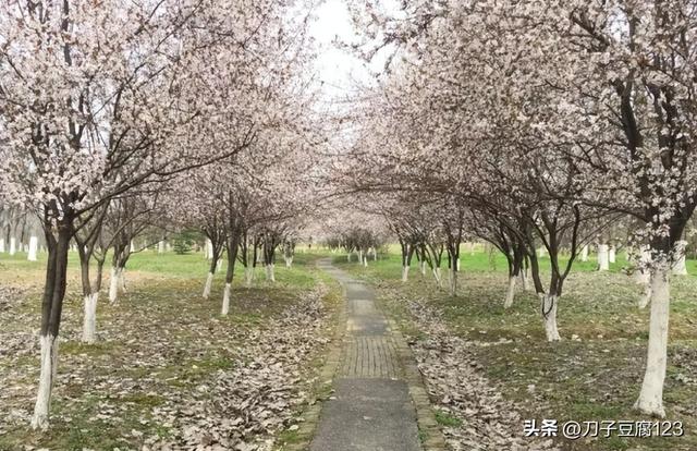 大蜀山列入合肥市文化遗产保护名录