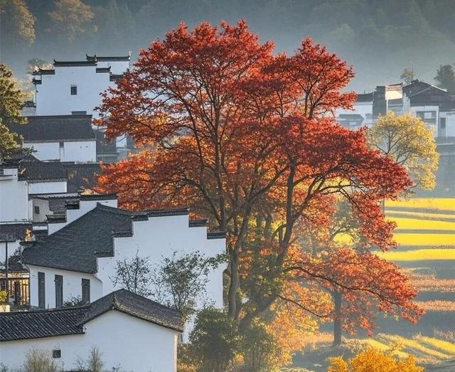 深秋的徽州