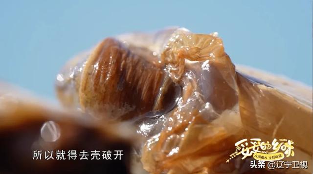 这里人均“海鲜自由”，就在辽宁这个北纬39度的海岛