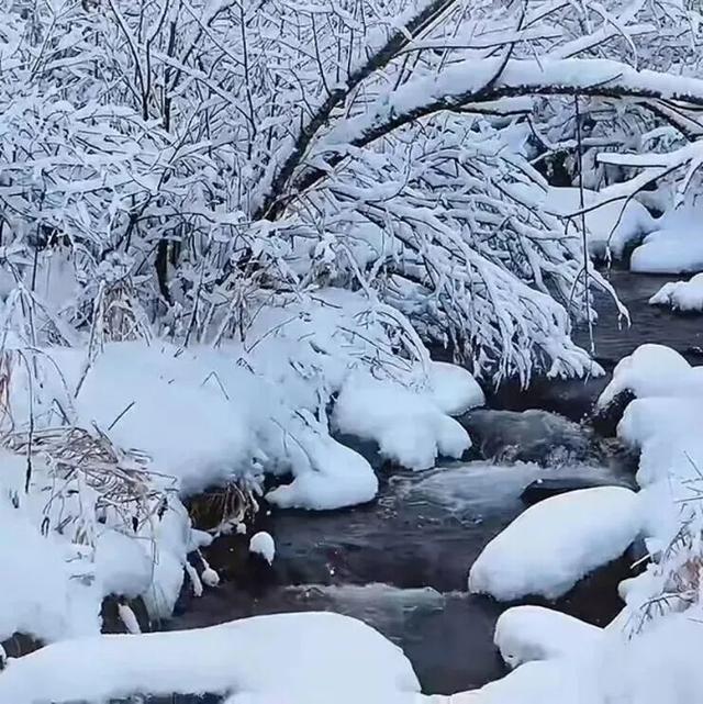 长白山冬日“天花板”！这3条宝藏路线，看到第一条就想出发