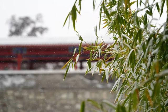 雪落石景山，美景入画来！石景山这里的雪景大片，请您欣赏！