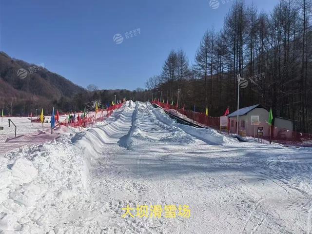 光雾山冰雪节 | 每日天气预报及雪情实况（2025年1月1日）