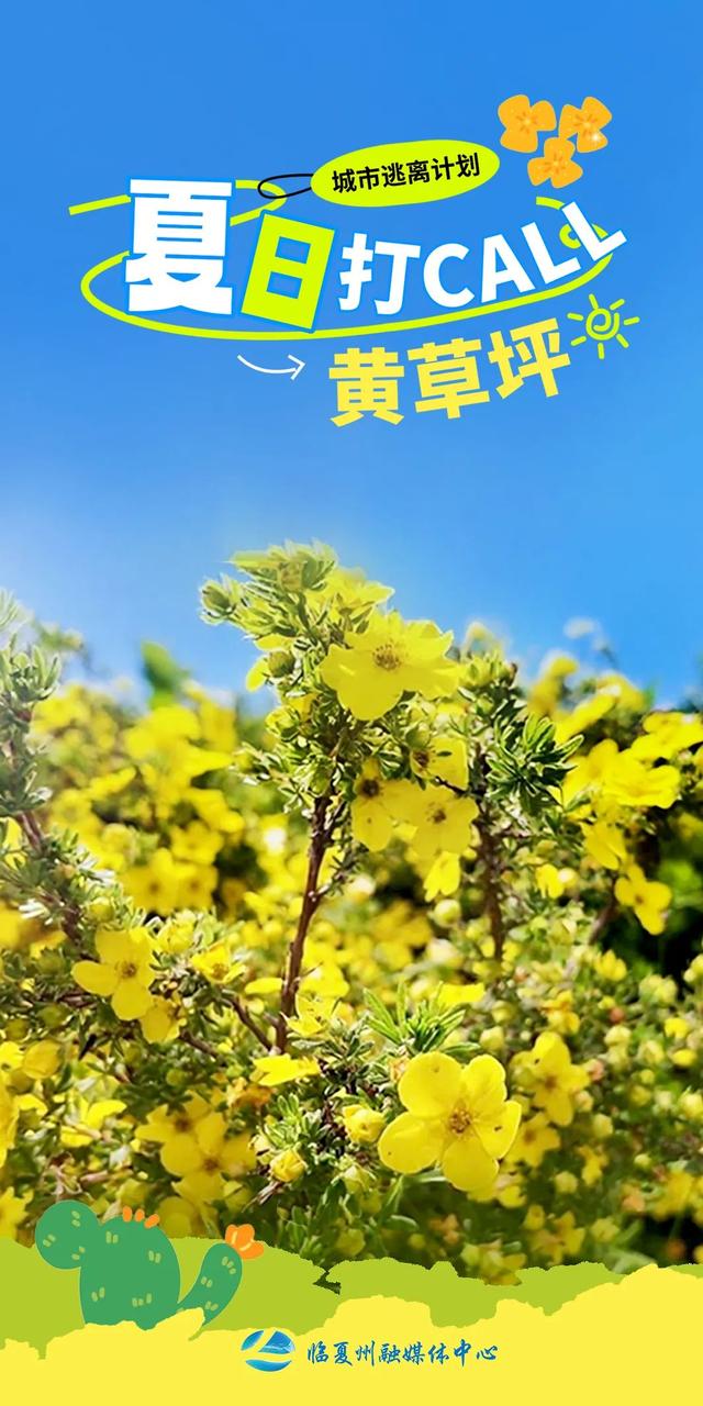 海报｜夏日，奔赴那片黄草坪