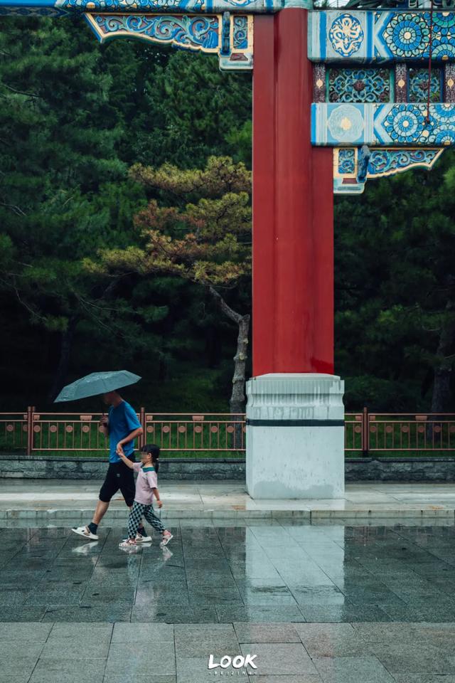夏天来北京，就为了逛这座公园