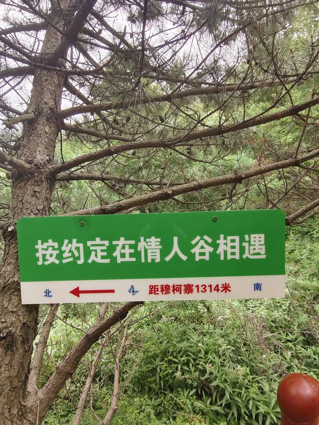 从甘肃到宁夏,我们走了一条绝美的风景之路,你不来看看吗?