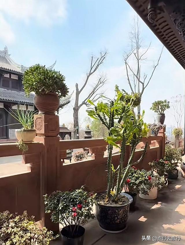 成都隐藏最深的道观，曾是西蜀最大道观，位置极佳，公交车直达！