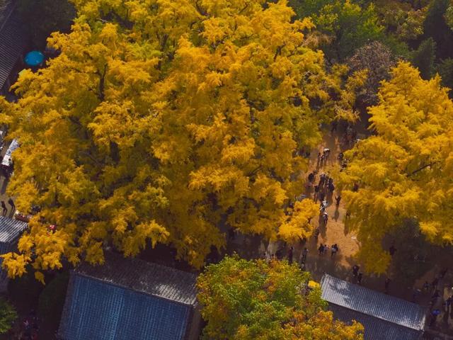 壮观！震撼！很多人都去看了！就在日照这里！