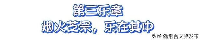 【乐享烟台】2025烟台国际海岸生活季街边音乐会｜音乐不停转场 山海同频欢唱｜四天五场 玩转烟台