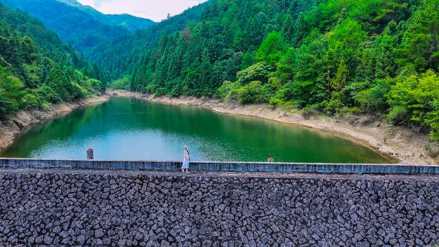 乡村游打卡龙上村：舞落杉间 溪映欢颜