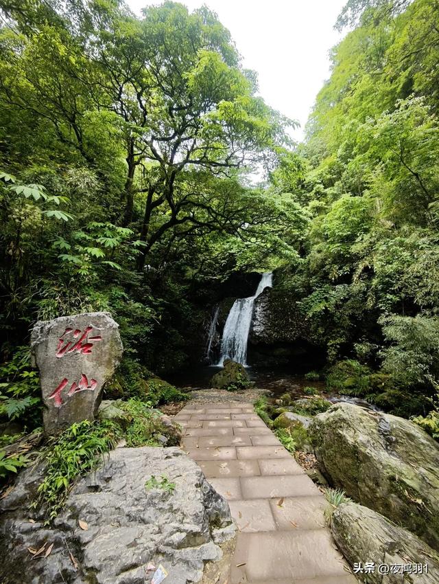 徒步瓦屋山,太艰难了,坚持下来不容易