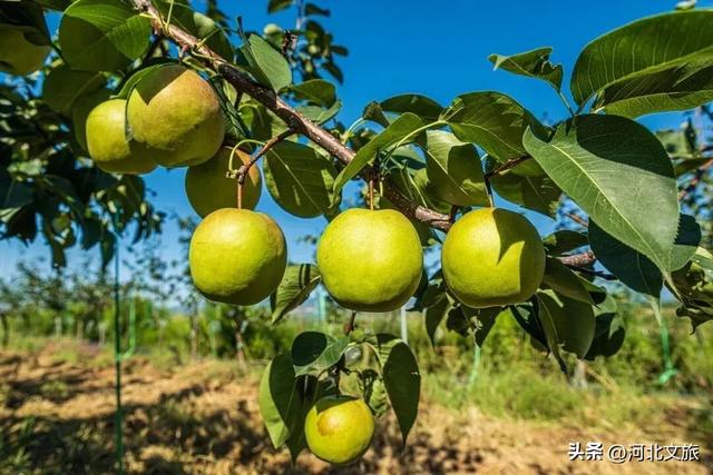 保定深秋“隐藏副本”已解锁：阜平，速来！
