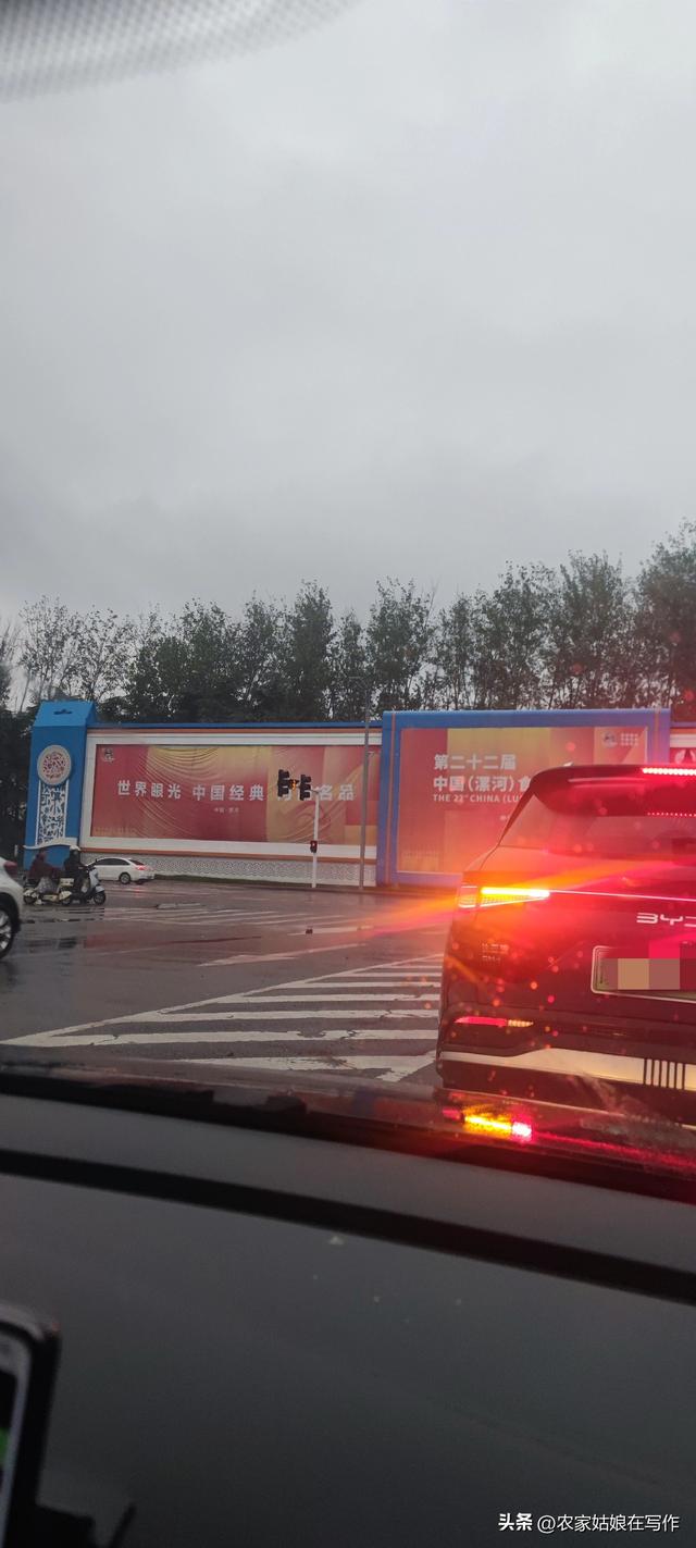 回河南老家日记（1）高速路上的见闻