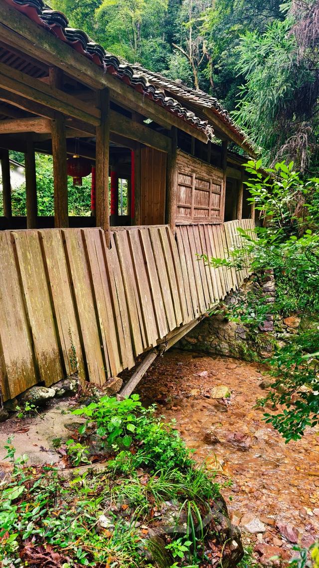 皖浙摩旅二人转——松阳横坑村篇（下）