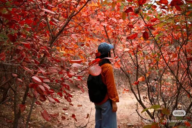 周末好去处 | 被临沂户外徒步地 美哭了！