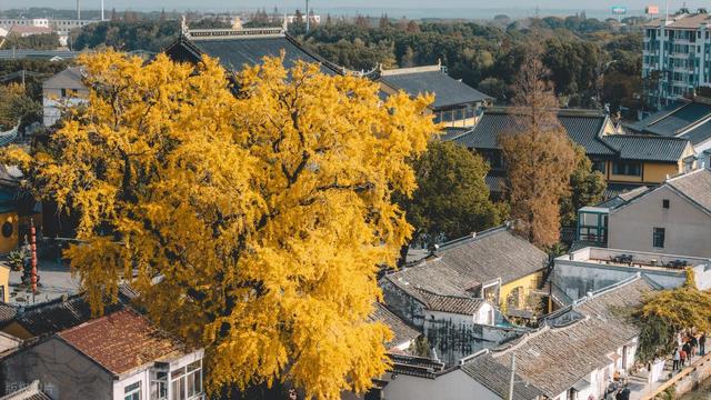 去江苏苏州玩了 1 周回来，说句大实话，苏州真不是所有人能适应的