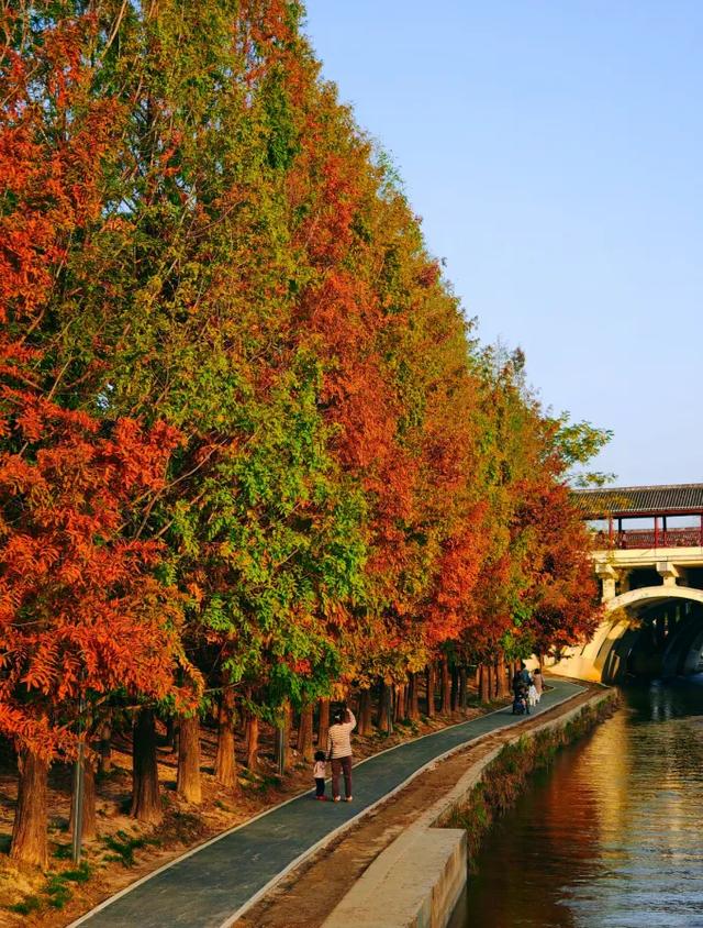 西安城区4个绝美秋景打卡地!