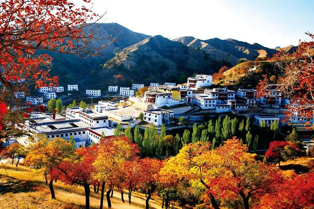 草原钢城，有鹿之地，中国B型城市旅游指南之包头