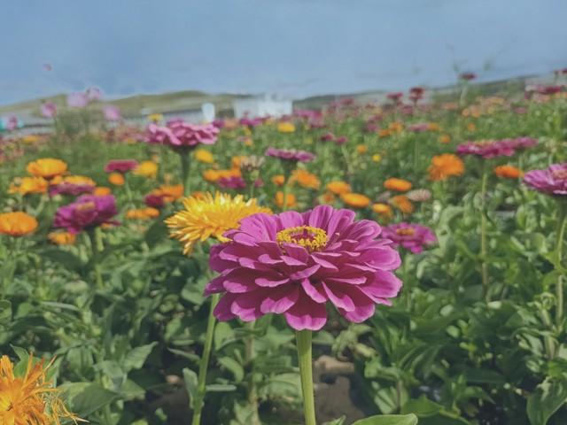 夫妻相处时，男人动不动就大喊大叫发脾气	，你该如何做呢？