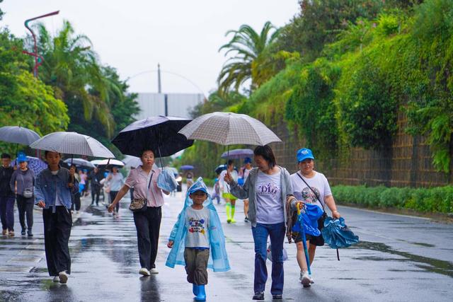 相约怒江·香誉世界 | 雨中健步庆华诞！“漫享泸水・全民健步走”活动举行