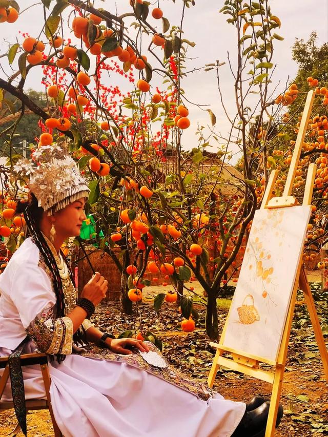 桂林：不入柿园，怎知秋色几许！