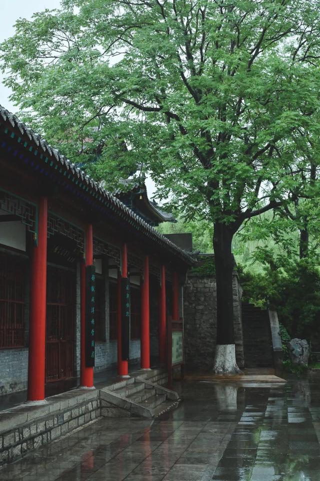 在济南大明湖畔的百年戏楼里品茗听戏，是种什么体验？