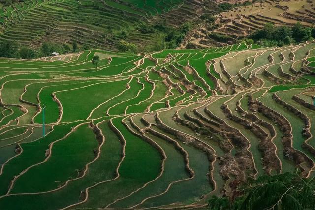 平均气温20度，冬日旅居胜地，小众到连云南人都没听过