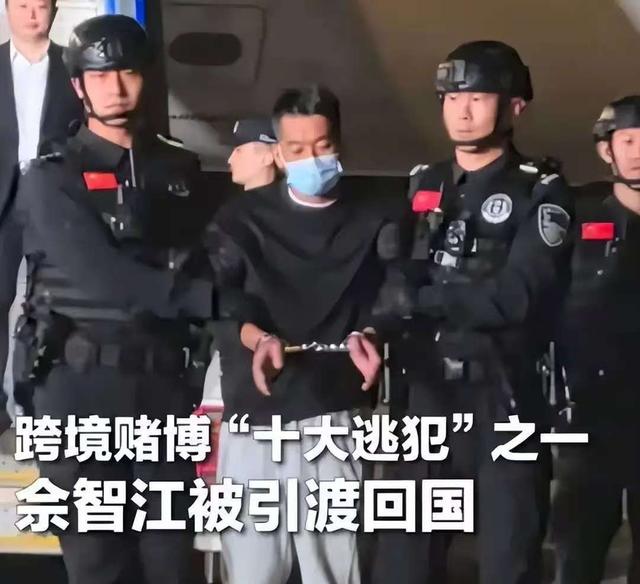 面相变了！49岁赵薇近况曝光	，封杀4年 婚也离了，如今变成了这样