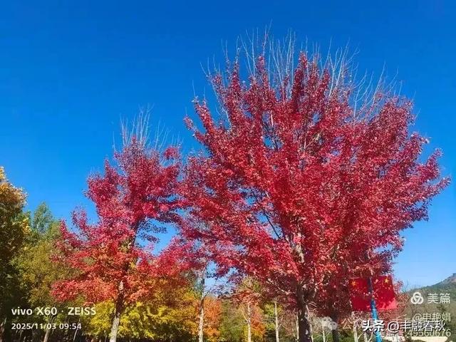 青岛即墨马山寻趣:一座地质公园的秋日私语|申艳娟