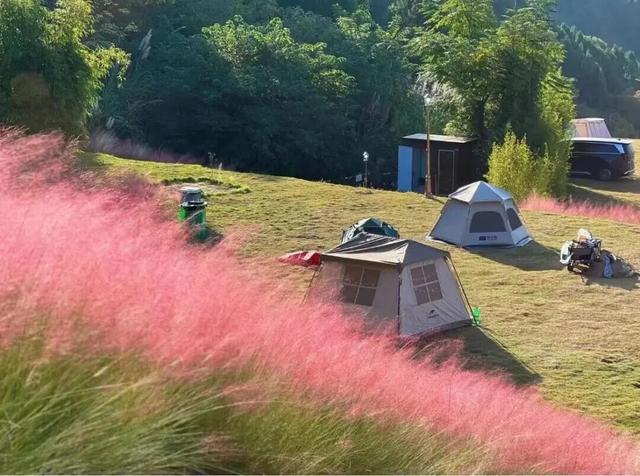 滴！赏秋“快递员”小园，持续为您派件→