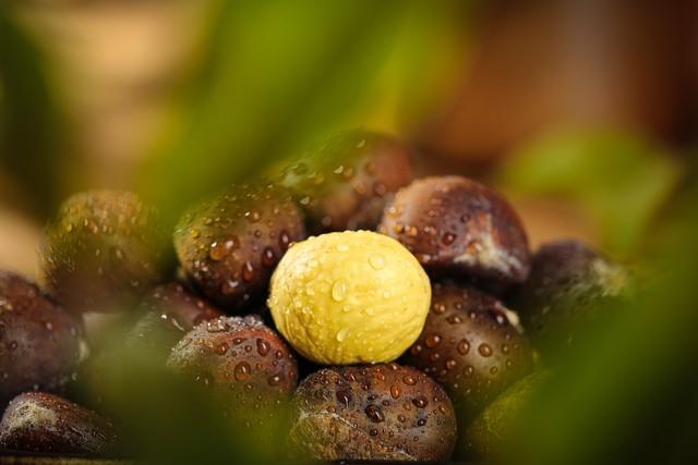 霜降罗田，邂逅中国最美红叶！大别山秋日摄影全攻略