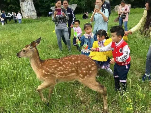 露水河长白山狩猎度假区：免票入园，六大秘境免费打卡