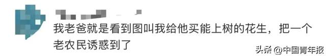 “花生上树”引争议，良品铺子道歉！
