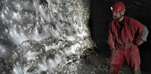 11万蜘蛛的超级工程：地下织出百米丝网，竟启发人类新材料革命