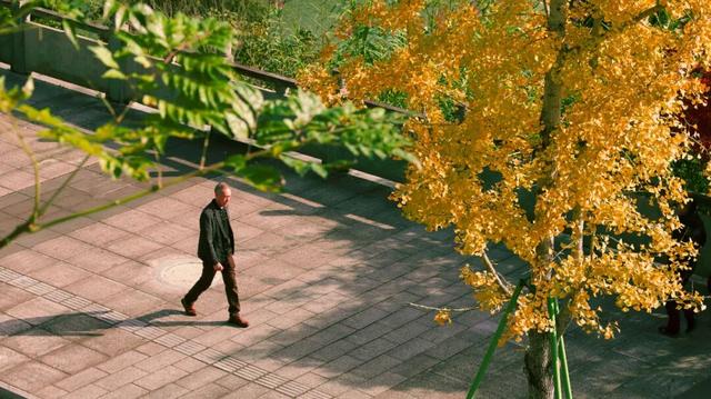 来达州宣汉，赴一场“黄金”盛宴