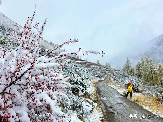 甲依拉措 ：一场白雪与彩林的盛宴