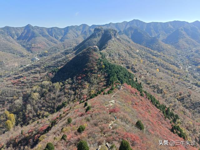 无为在歧路，2025之经行