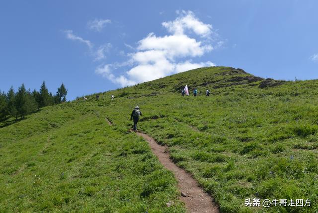河北麻田岭（上）：绿野铺毡接云影、风轮伴路探山魂
