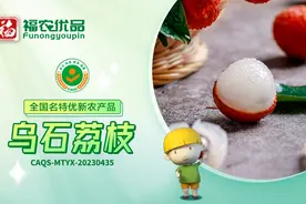 白若凝脂 清甜脆嫩 乌石荔枝 | 福建省【全国名特优新农产品】图片