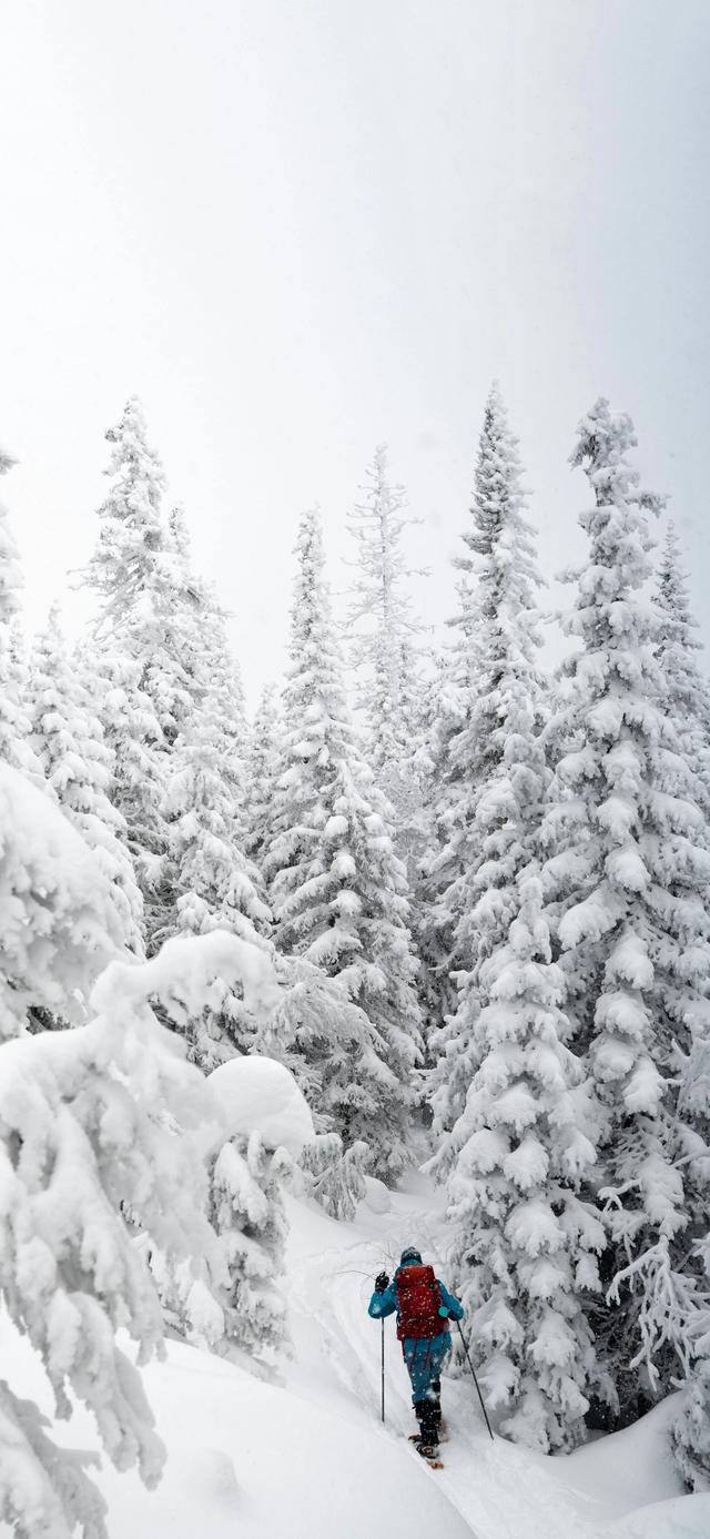 手机壁纸|冬日氛围感自然美景