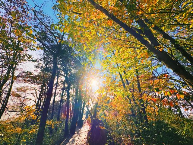 叮!龙头山秋日余额已不足!期待新一轮的冬雪到来~