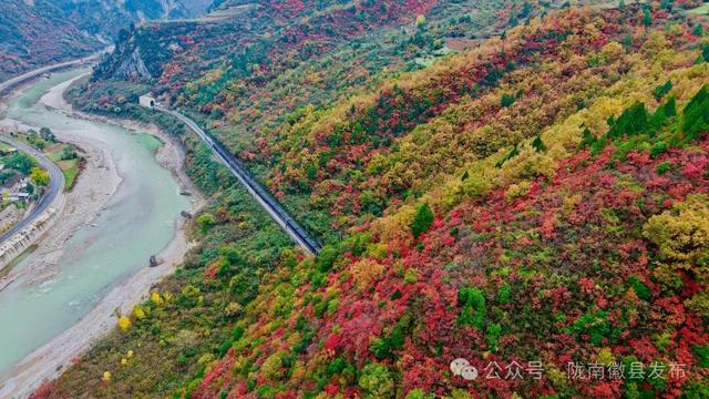 嘉陵江畔，静观一季秋色流转